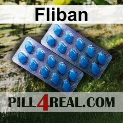 Fliban 725