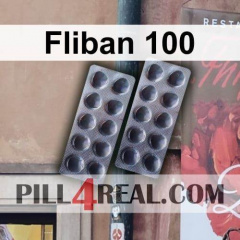 Fliban 100 003