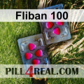 Fliban 100 023