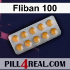 Fliban 100 030