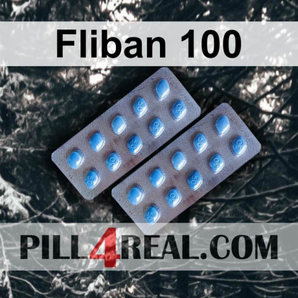 Fliban 100 076