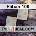 Fliban 100 078