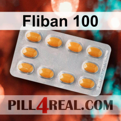 Fliban 100 213