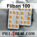 Fliban 100 237