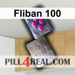 Fliban 100 373