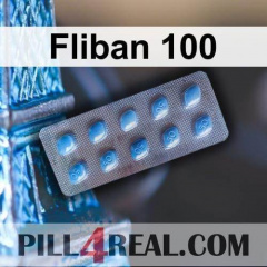 Fliban 100 446