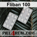 Fliban 100 473