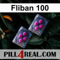 Fliban 100 732
