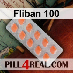 Fliban 100 869