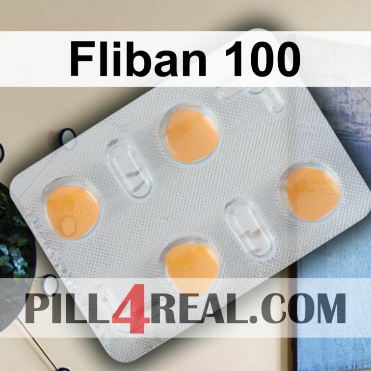 Fliban 100 889