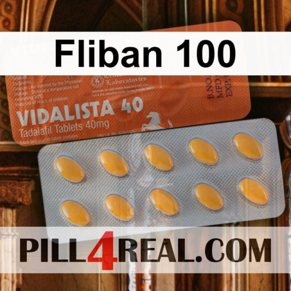 Fliban 100 991