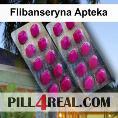Flibanseryna Apteka 943
