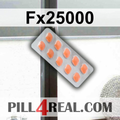 Fx25000 010