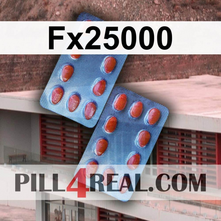 Fx25000 038