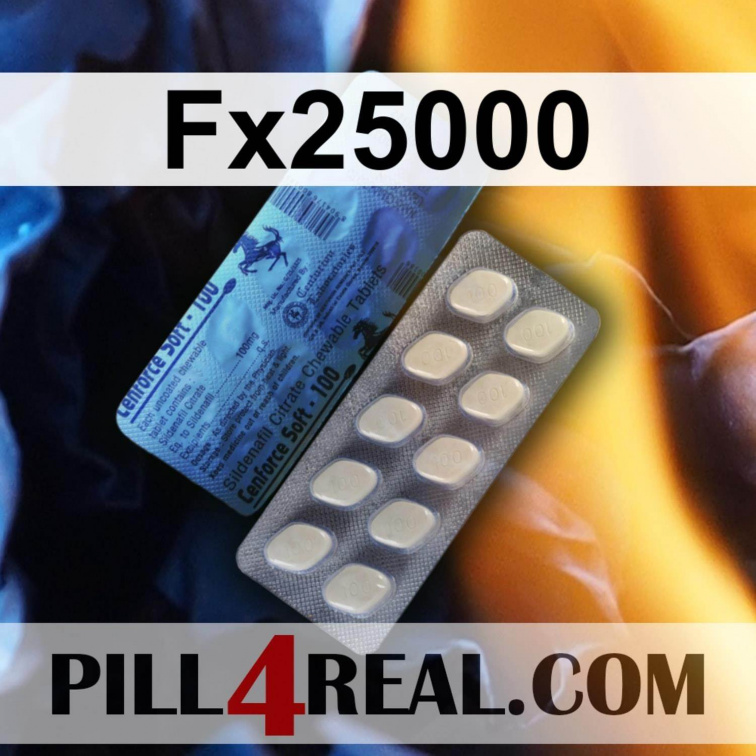 Fx25000 291