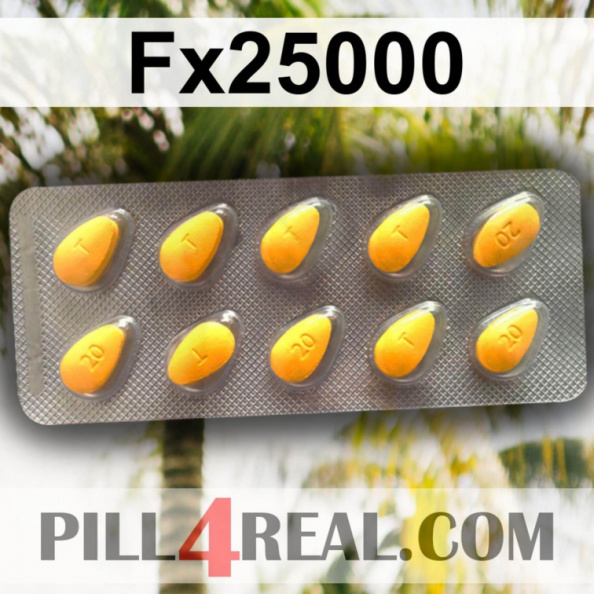 Fx25000 519