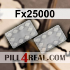 Fx25000 760