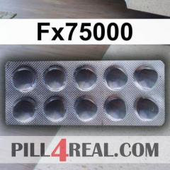 Fx75000 021