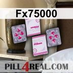 Fx75000 024
