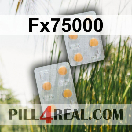 Fx75000 213