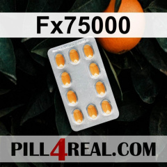 Fx75000 272