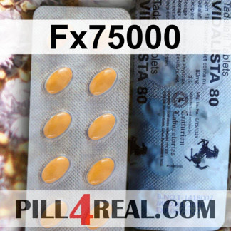 Fx75000 315