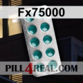 Fx75000 480