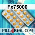 Fx75000 508
