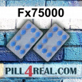 Fx75000 683