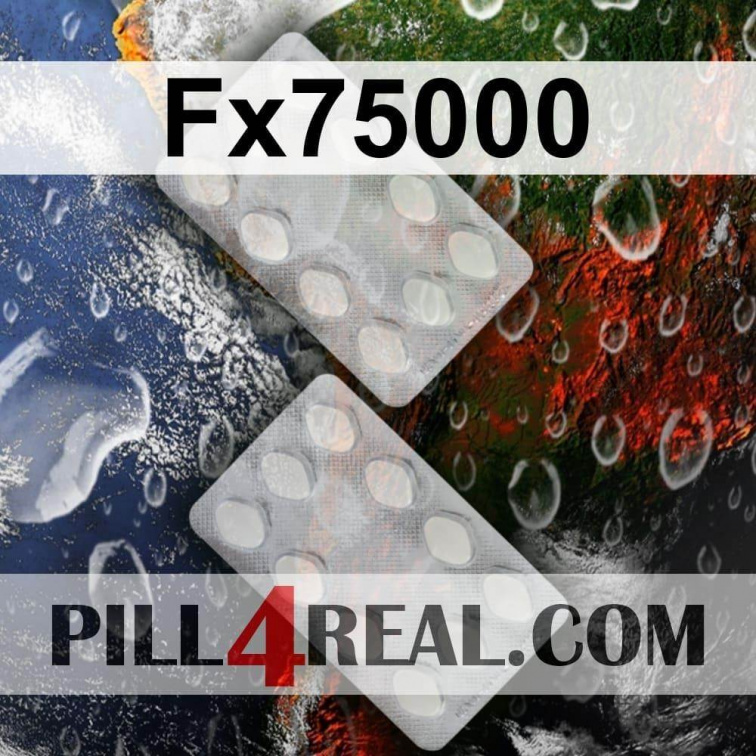 Fx75000 713