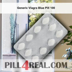 Generic Viagra Blue Pill 100 256