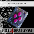 Generic Viagra Blue Pill 100 904