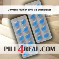 Germany Niubian 3000 Mg Superpower 098
