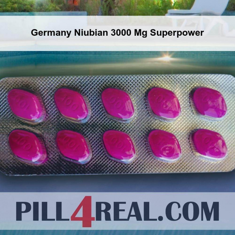 Germany Niubian 3000 Mg Superpower 886