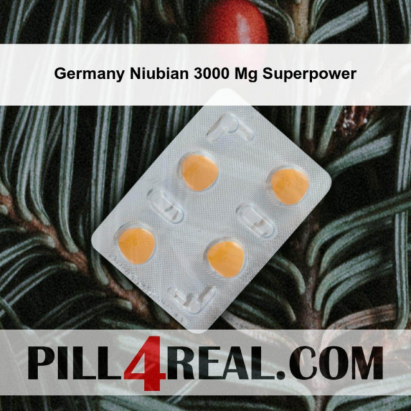 Germany Niubian 3000 Mg Superpower 891
