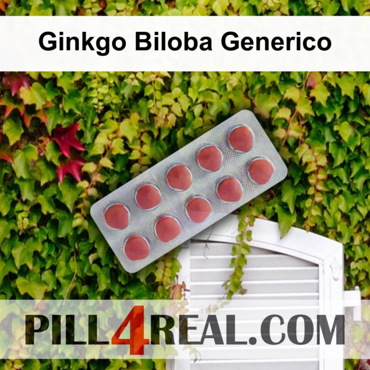 Ginkgo Biloba Generico 955