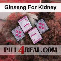 Ginseng For Kidney 041