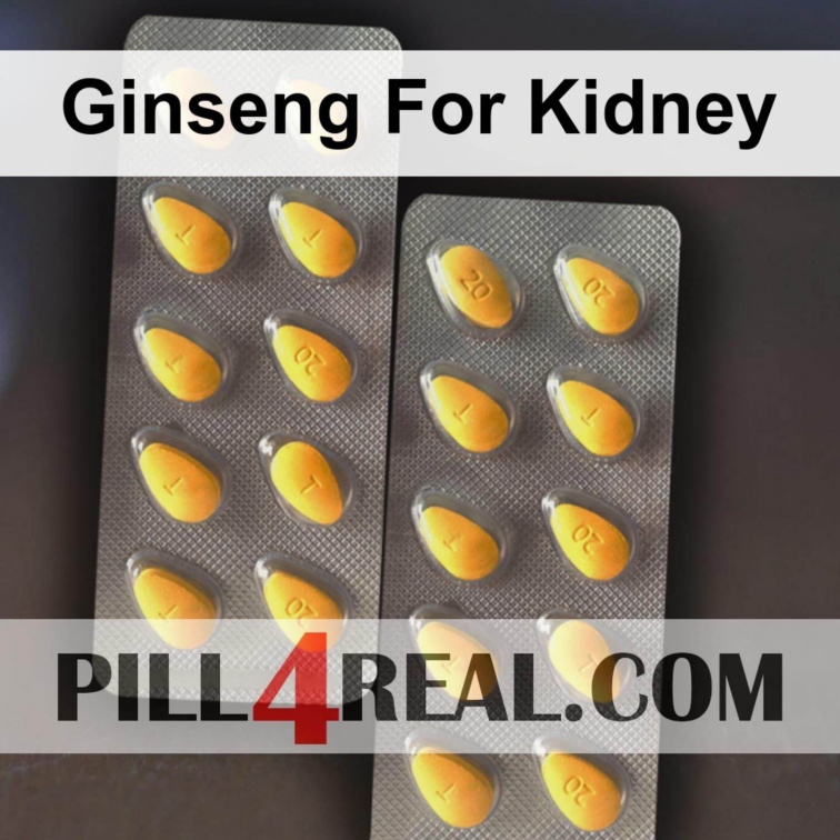 Ginseng For Kidney 048