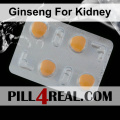 Ginseng For Kidney 233