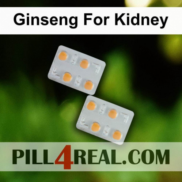 Ginseng_For_Kidney_355.jpg
