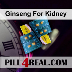 Ginseng For Kidney 540