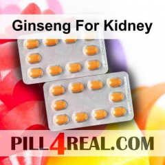 Ginseng For Kidney 606