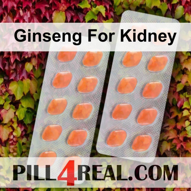 Ginseng For Kidney 721