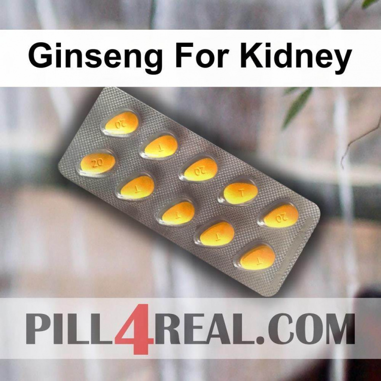 Ginseng For Kidney 833