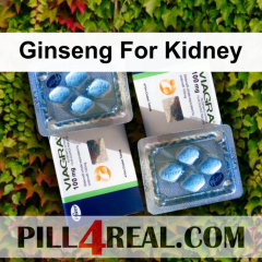 Ginseng For Kidney 951