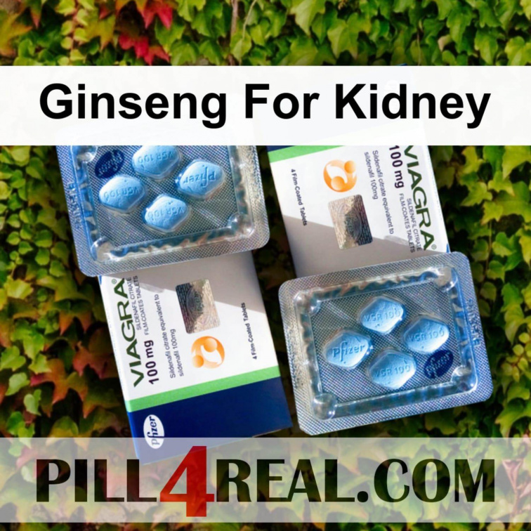 Ginseng For Kidney 951