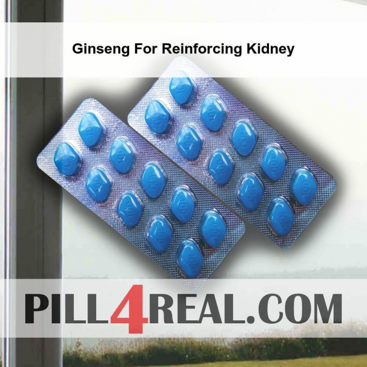 Ginseng For Reinforcing Kidney 005