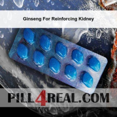 Ginseng For Reinforcing Kidney 044