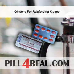 Ginseng For Reinforcing Kidney 055