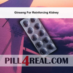 Ginseng For Reinforcing Kidney 460
